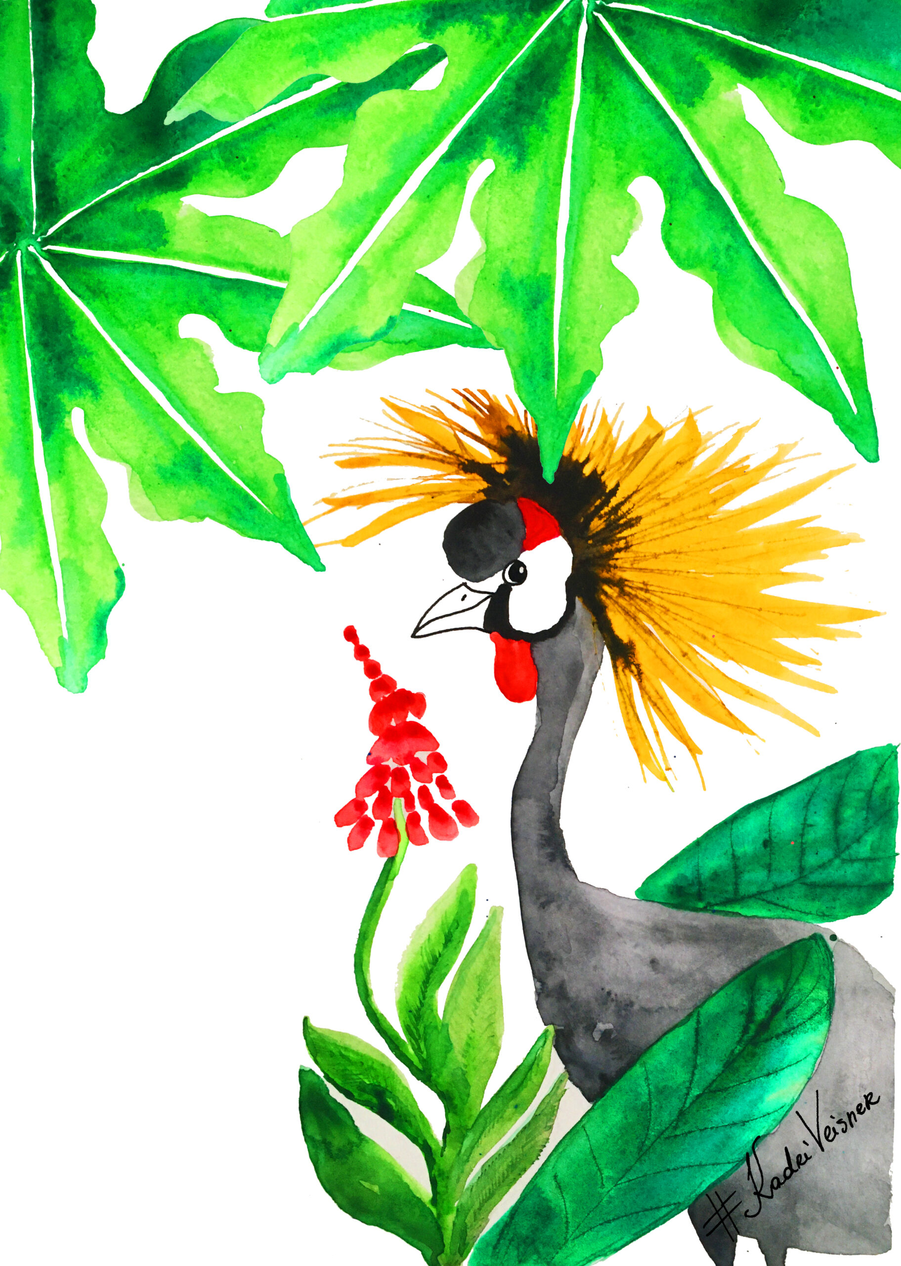 Nööpidega kudum "Džungli linnud" - Image 3