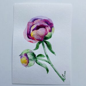 pojengide ilu kadri veisner